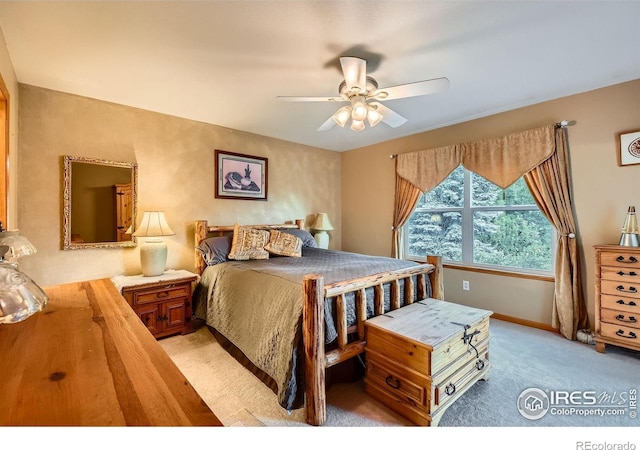 1121 Country Acres Ct, Johnstown, CO 80534 - photo 10