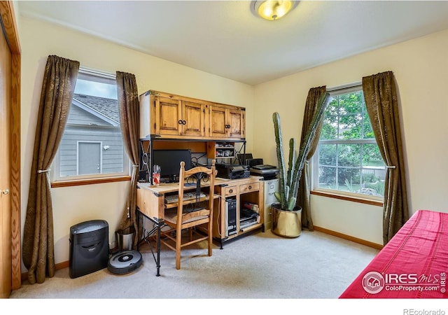 1121 Country Acres Ct, Johnstown, CO 80534 - photo 16