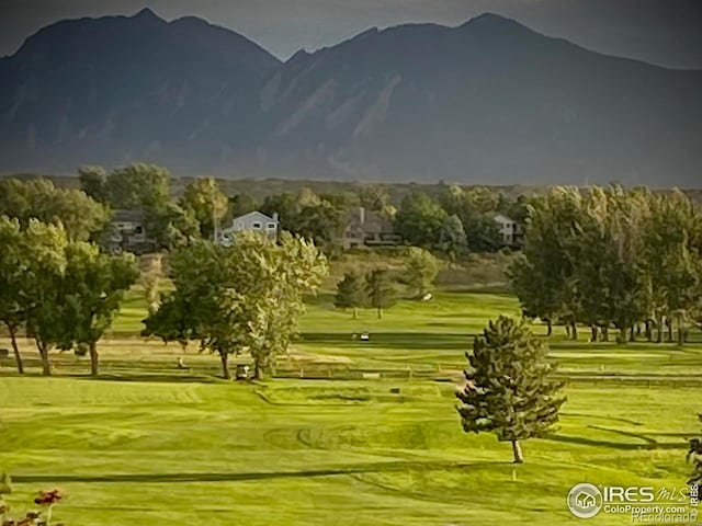 6686 Fairways Dr, Longmont, CO 80503 - photo 36