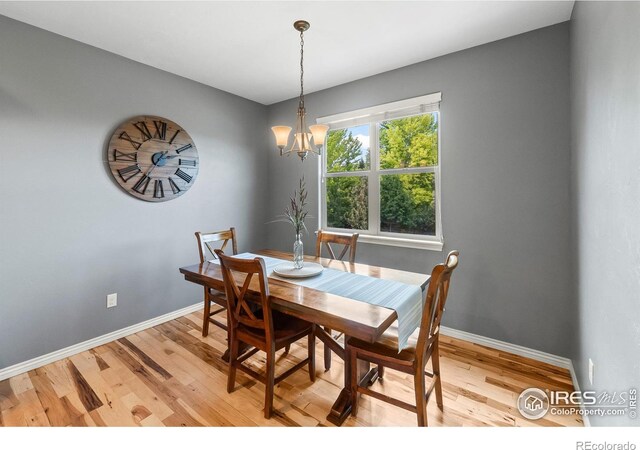 5504 Fairmount Dr, Windsor, CO 80550 - photo 13