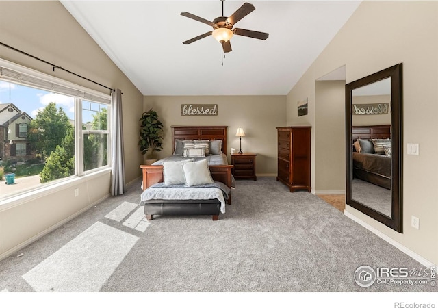 5504 Fairmount Dr, Windsor, CO 80550 - photo 20