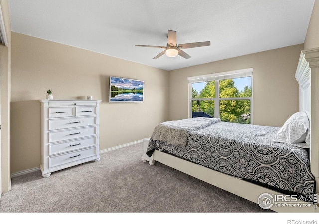 5504 Fairmount Dr, Windsor, CO 80550 - photo 24