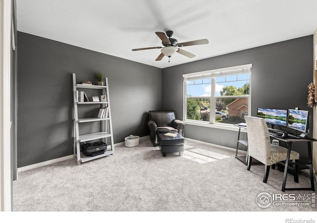 5504 Fairmount Dr, Windsor, CO 80550 - photo 26