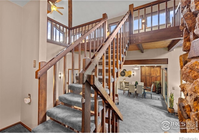 31 Kings Canyon Rd, Bellvue, CO 80512 - photo 21