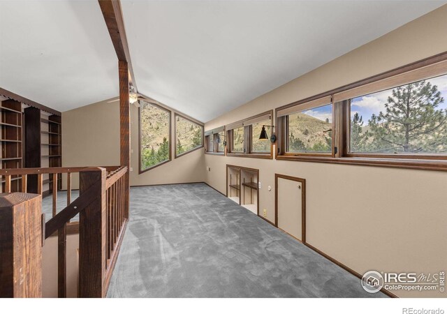 31 Kings Canyon Rd, Bellvue, CO 80512 - photo 22
