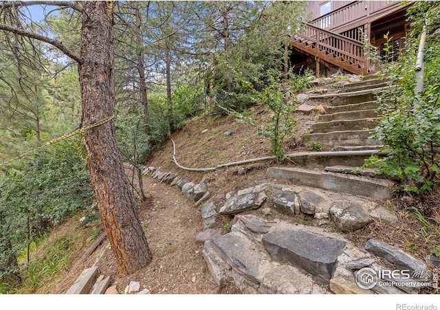 31 Kings Canyon Rd, Bellvue, CO 80512 - photo 34