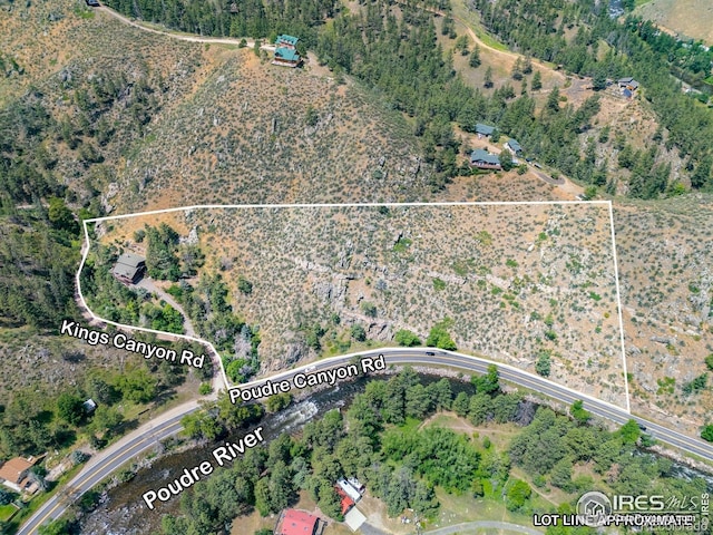 31 Kings Canyon Rd, Bellvue, CO 80512 - photo 37