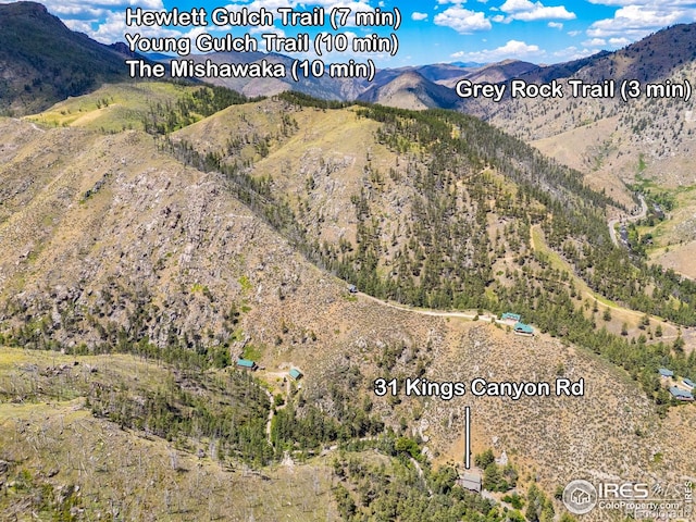 31 Kings Canyon Rd, Bellvue, CO 80512 - photo 38