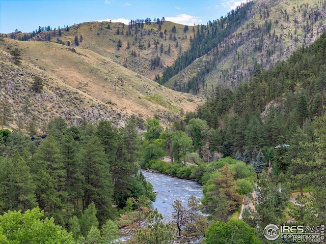 31 Kings Canyon Rd, Bellvue, CO 80512 - photo 40