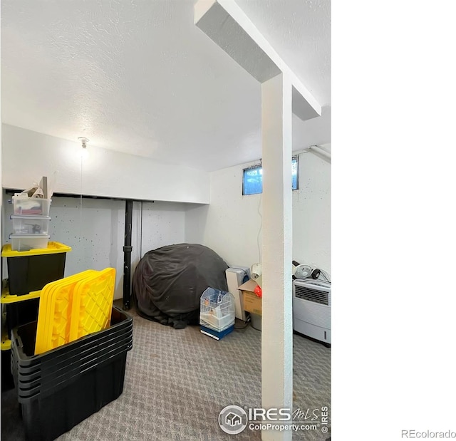 329 S Wynona Ave, Holyoke, CO 80734 - finished below grade area with carpet and a textured ceiling