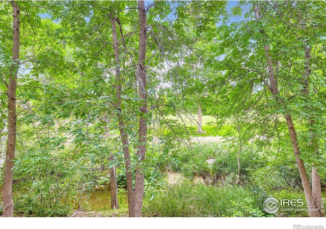 4919 Noble Park Pl, Boulder, CO 80301 - view of undeveloped land