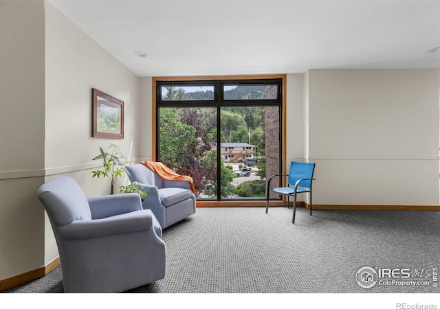337 Arapahoe Ave Unit 303, Boulder, CO 80302 - living area featuring carpet floors and expansive windows