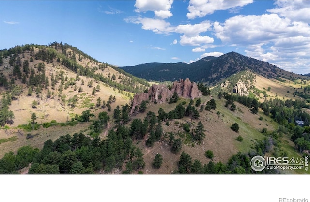 337 Arapahoe Ave Unit 303, Boulder, CO 80302 - mountain view