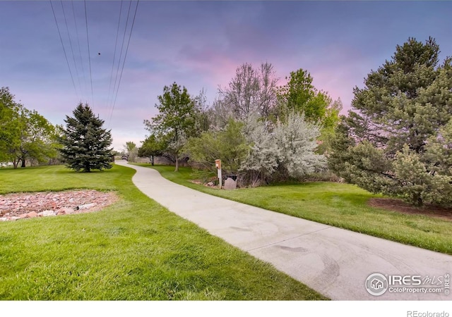 1986 Hyde Dr, Loveland, CO 80538 - photo 26
