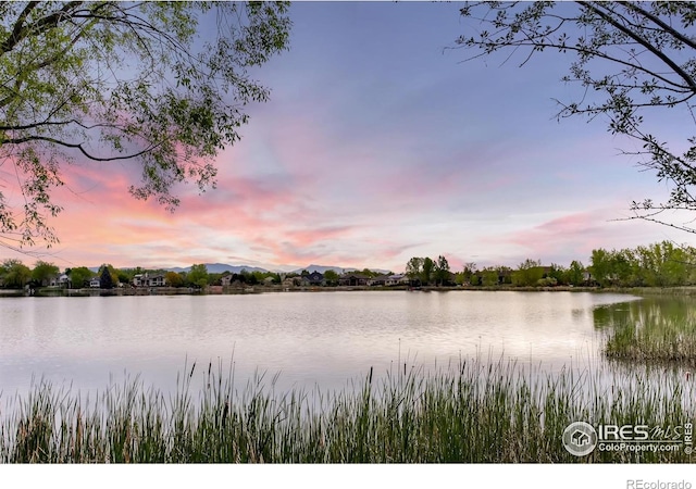 1986 Hyde Dr, Loveland, CO 80538 - photo 27