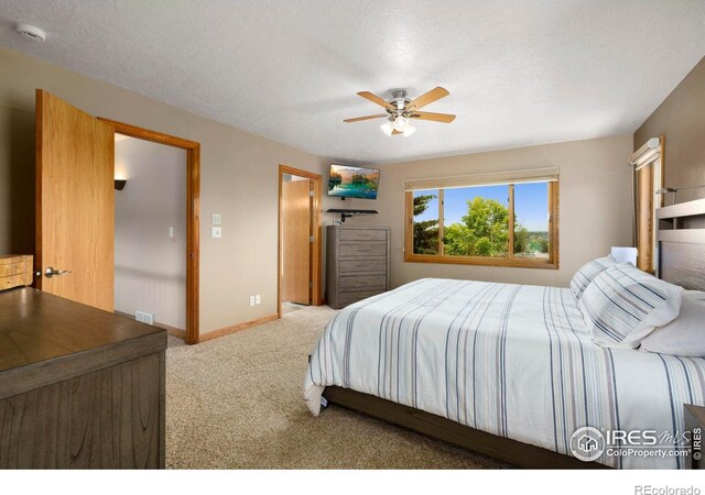 5114 Hogan Ct, Fort Collins, CO 80528 - photo 10