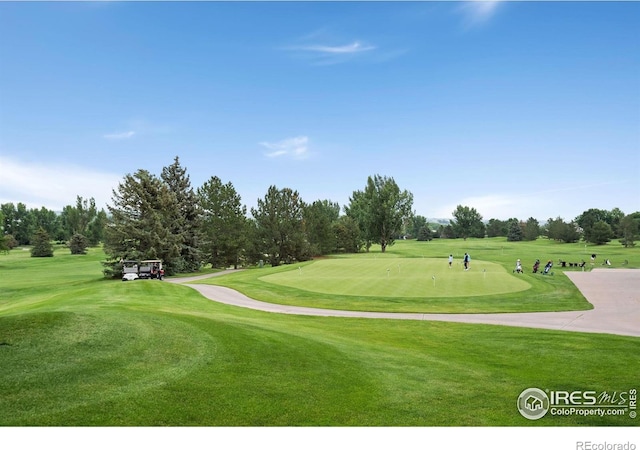 5114 Hogan Ct, Fort Collins, CO 80528 - photo 30