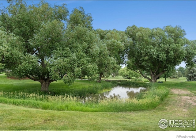 5114 Hogan Ct, Fort Collins, CO 80528 - photo 32