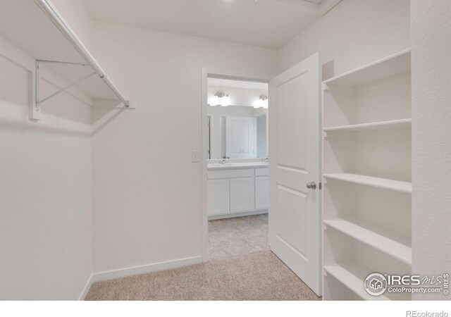 4832 Lynxes Way, Johnstown, CO 80534 - photo 26