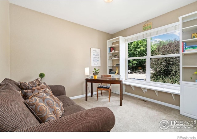 8119 Lighthouse Ln, Windsor, CO 80528 - office space with carpet and baseboards