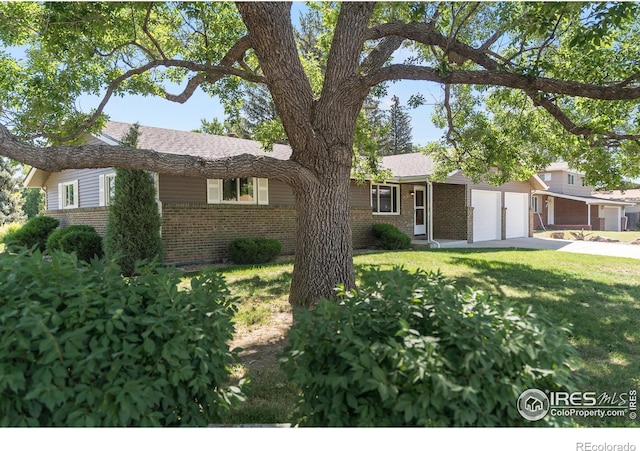 2442 Collyer St, Longmont, CO 80501 - photo 35
