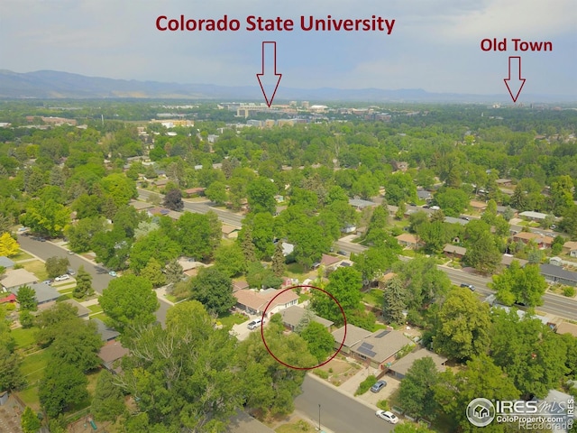 600 Cornell Ave, Fort Collins, CO 80525 - photo 30