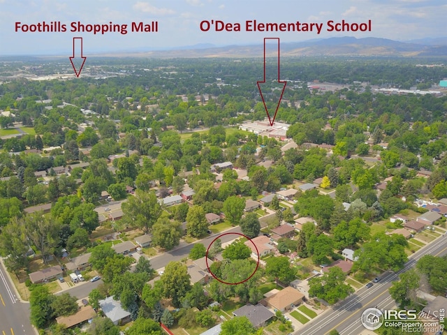 600 Cornell Ave, Fort Collins, CO 80525 - photo 31