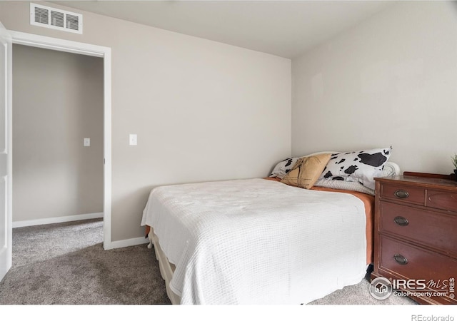 2609 Conquest St, Fort Collins, CO 80524 - photo 13