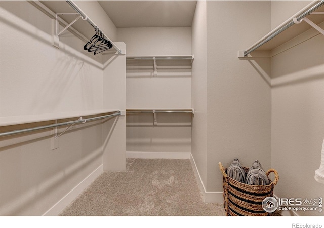 265 High Point Dr Unit 202, Longmont, CO 80504 - walk in closet featuring carpet flooring