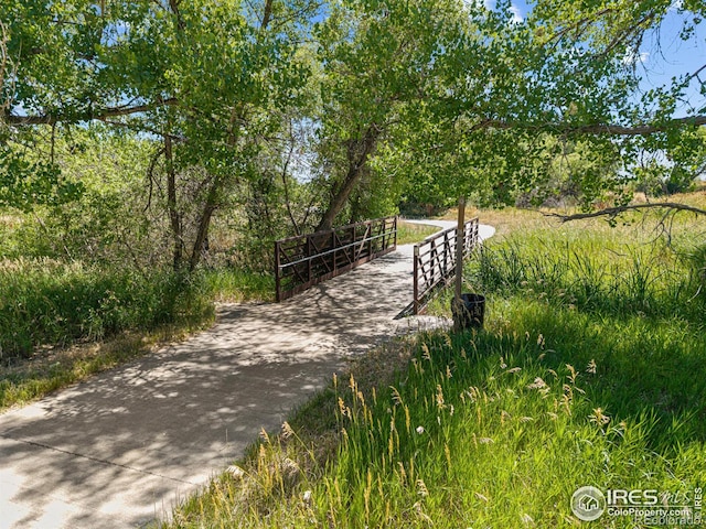 1126 75th Ave, Greeley, CO 80634 - photo 32