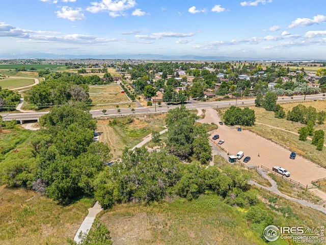 1126 75th Ave, Greeley, CO 80634 - photo 33