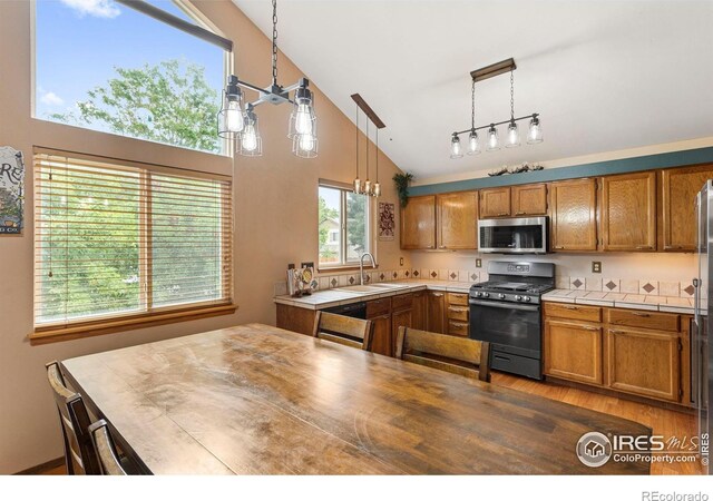331 Sagewood Dr, Loveland, CO 80538 - photo 12