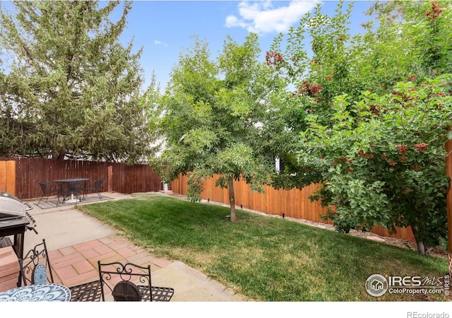 331 Sagewood Dr, Loveland, CO 80538 - photo 35