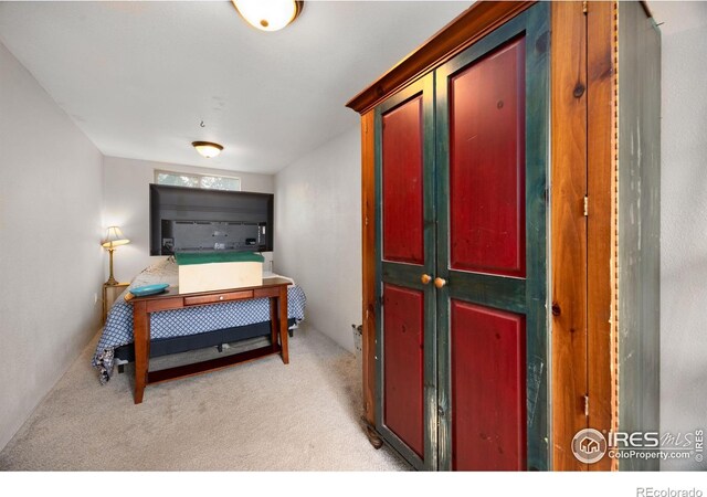 1327 Poplar St, Johnstown, CO 80534 - photo 33