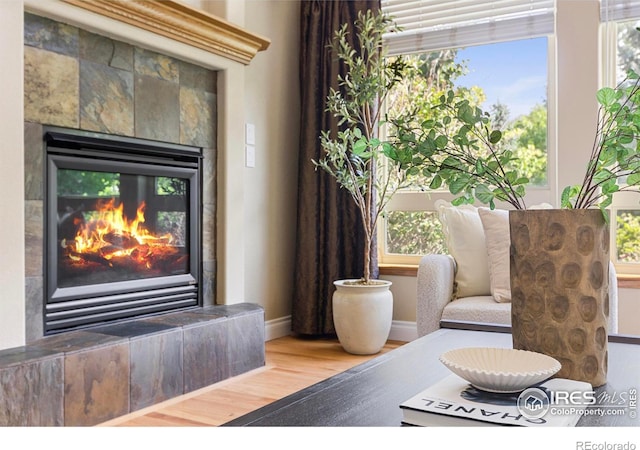 1180 W 50th St, Loveland, CO 80538 - photo 7
