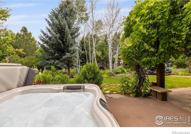 1180 W 50th St, Loveland, CO 80538 - photo 29