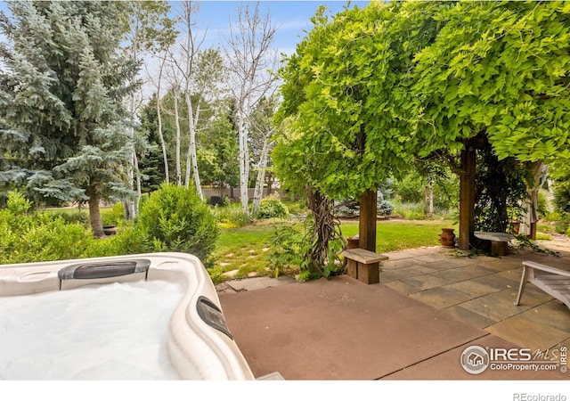 1180 W 50th St, Loveland, CO 80538 - photo 30