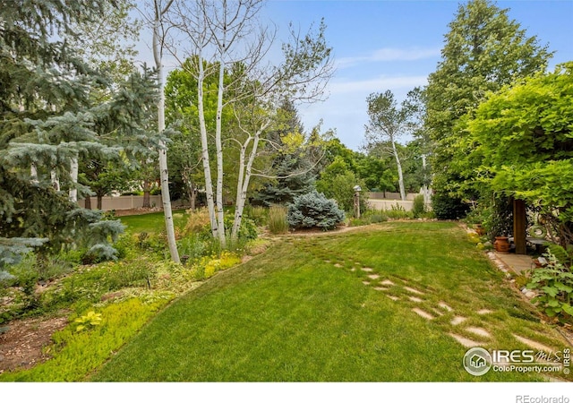 1180 W 50th St, Loveland, CO 80538 - photo 32