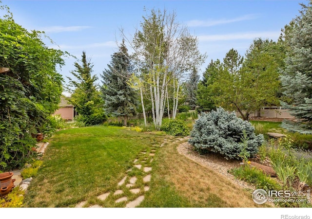 1180 W 50th St, Loveland, CO 80538 - photo 33