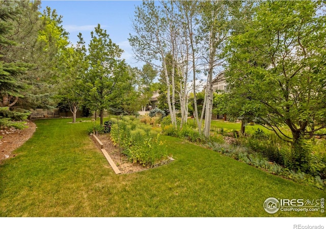 1180 W 50th St, Loveland, CO 80538 - photo 34