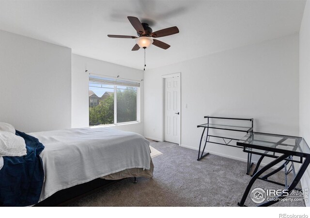 3626 Maplewood Ln, Johnstown, CO 80534 - photo 27