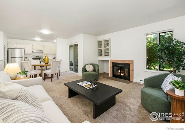 3465 Lochwood Dr Unit N-61, Fort Collins, CO 80525 - living room with a baseboard heating unit, light colored carpet, and a fireplace