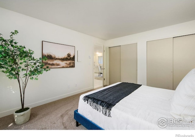 3465 Lochwood Dr Unit N-61, Fort Collins, CO 80525 - carpeted bedroom with two closets and baseboards