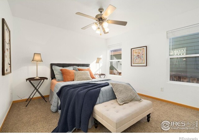 2578 Silverton St, Loveland, CO 80538 - photo 14