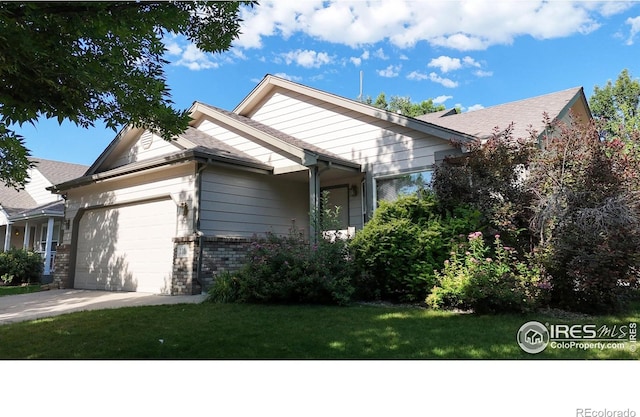 393 Lavastone Ave, Loveland, CO 80537 - photo 3