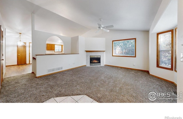 393 Lavastone Ave, Loveland, CO 80537 - photo 5