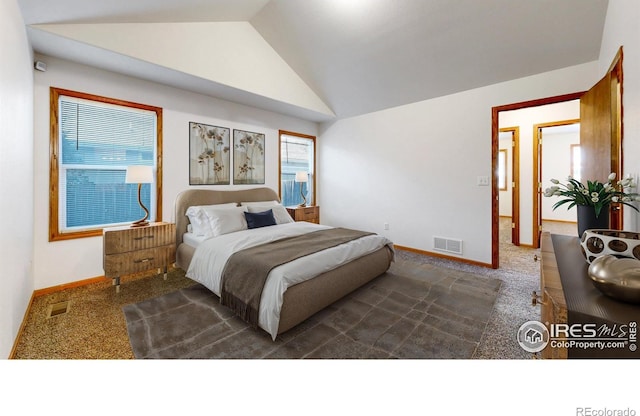 393 Lavastone Ave, Loveland, CO 80537 - photo 14