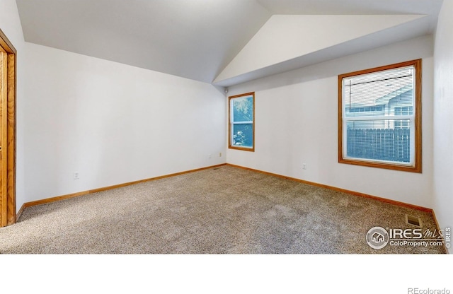 393 Lavastone Ave, Loveland, CO 80537 - photo 16