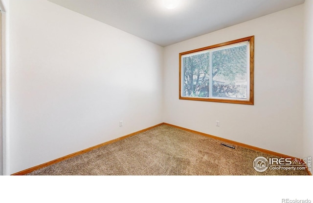 393 Lavastone Ave, Loveland, CO 80537 - photo 18