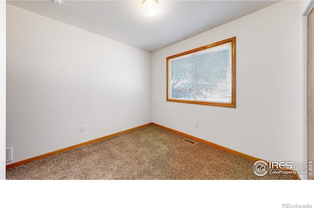393 Lavastone Ave, Loveland, CO 80537 - photo 23
